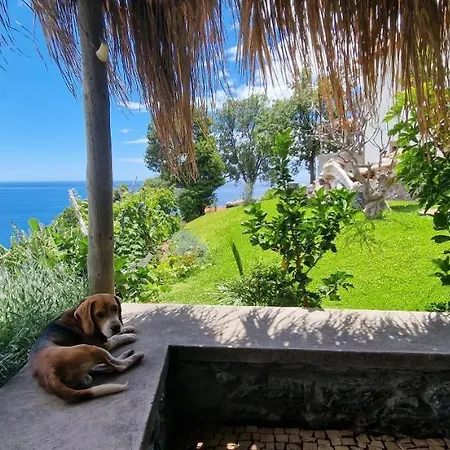 Torre Bella Gardens Villa Arco da Calheta  Exterior photo