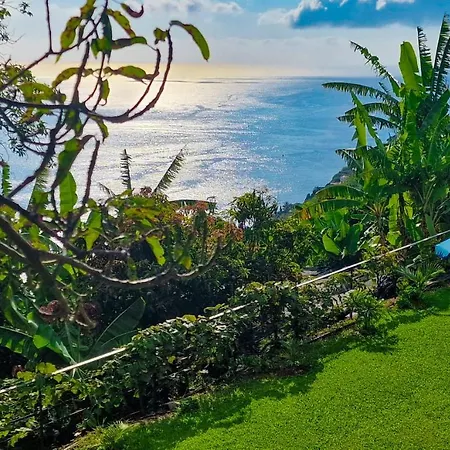 Torre Bella Gardens Villa Arco da Calheta  Exterior photo