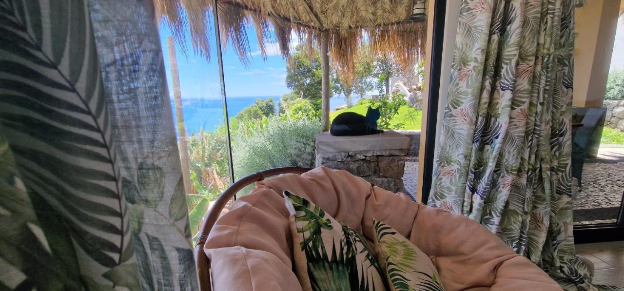 Torre Bella Gardens Farm stay Arco da Calheta (Madeira)