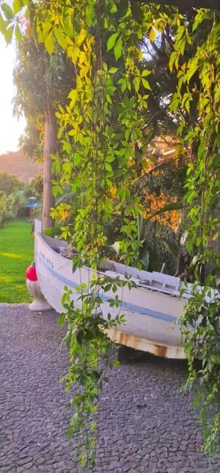 Farm stay Torre Bella Gardens *