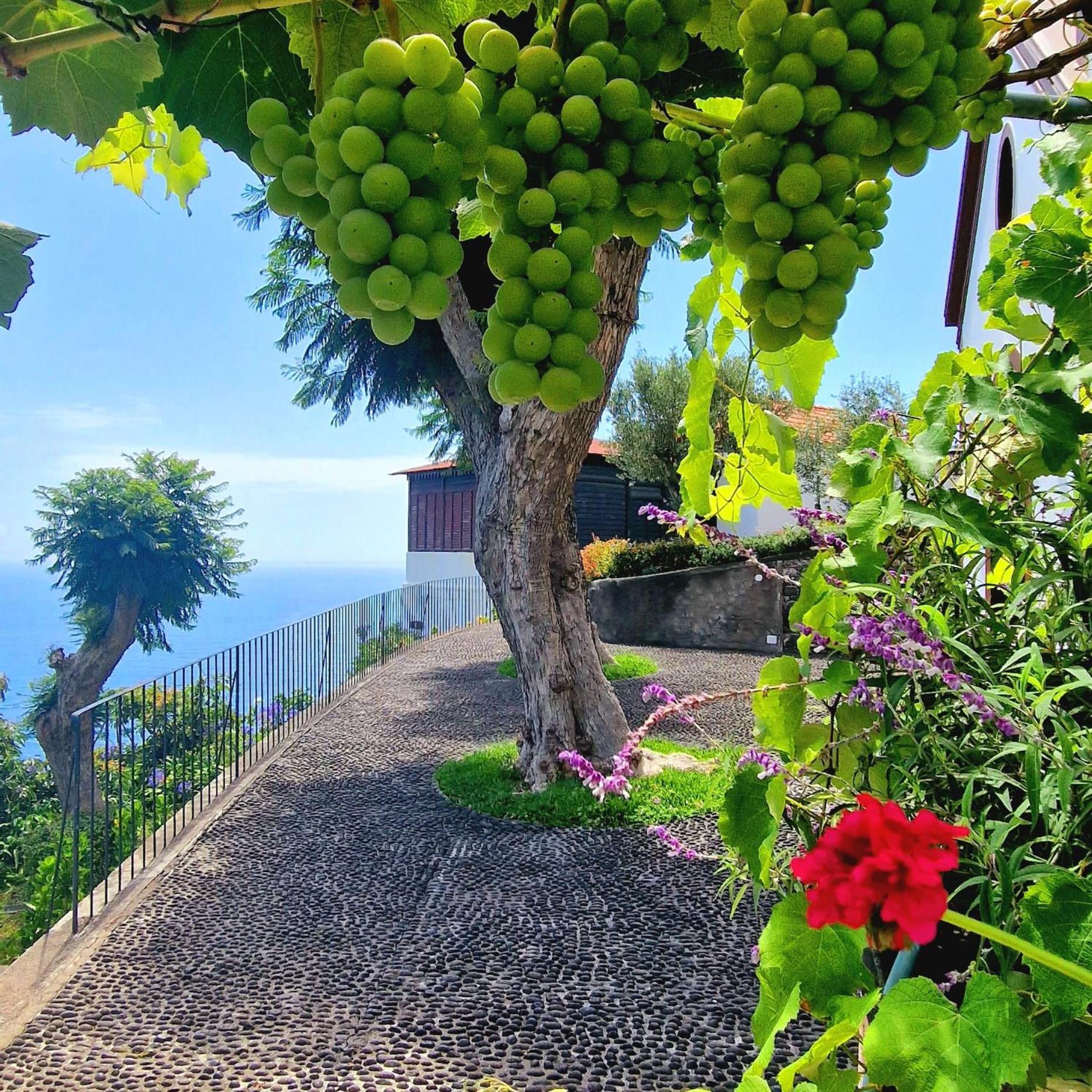 Farm stay Torre Bella Gardens Arco da Calheta (Madeira)
