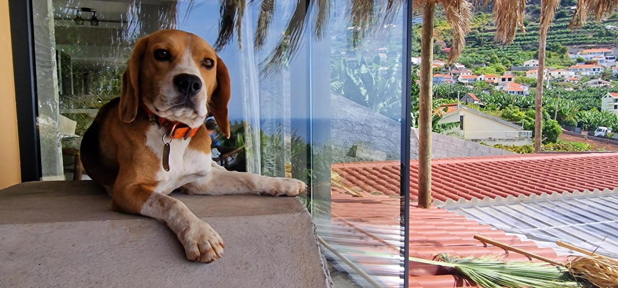 Torre Bella Gardens Farm stay *
