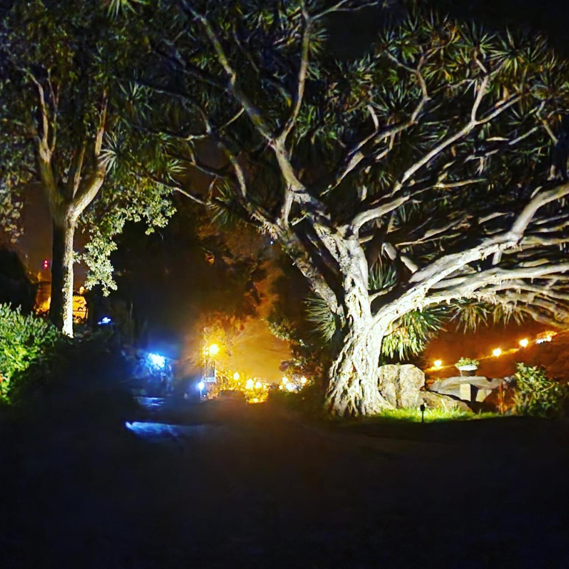 Farm stay Torre Bella Gardens Arco da Calheta (Madeira)